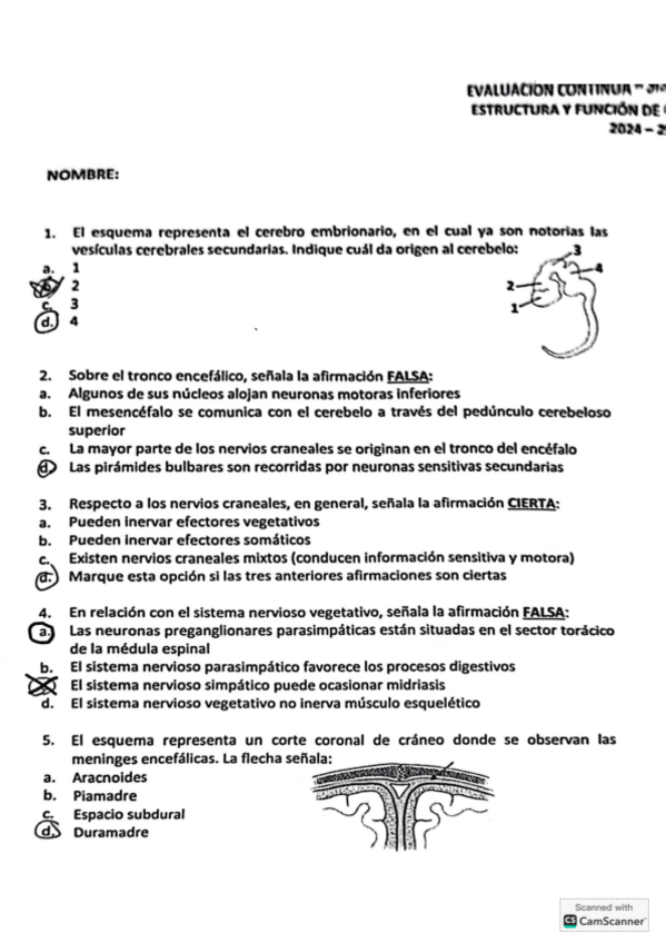 Miniatura del documento parcial-sistema-nervioso-2324.pdf