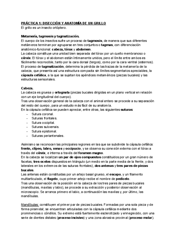 Miniatura del documento PRACTICAS.pdf