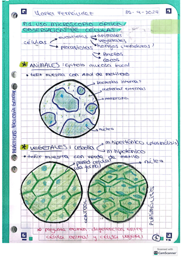 Miniatura del documento Practicas-de-biologia-general.pdf