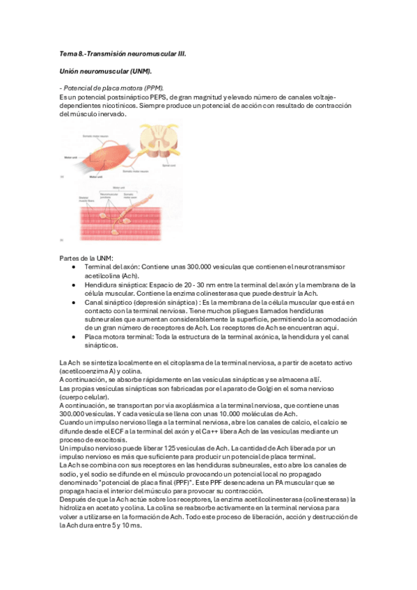 Miniatura del documento FISIOLOGIA-Tema-8.pdf