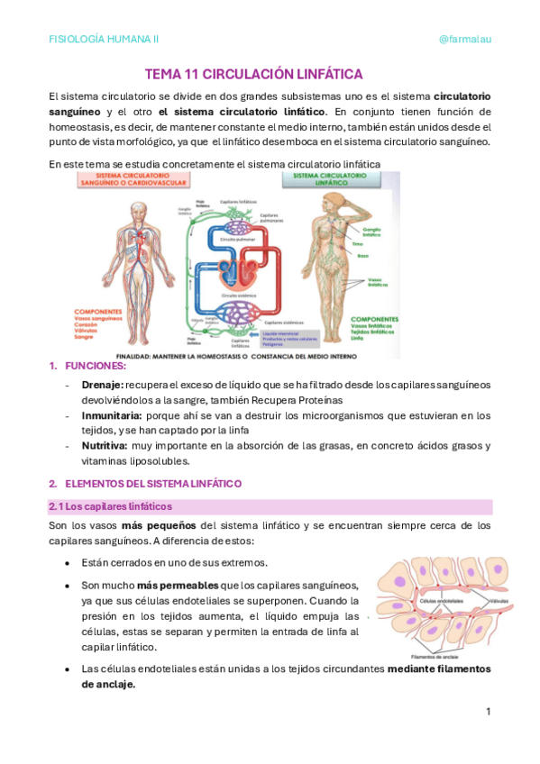 Miniatura del documento TEMA-11-CIRCULACION-LINFATICA.pdf