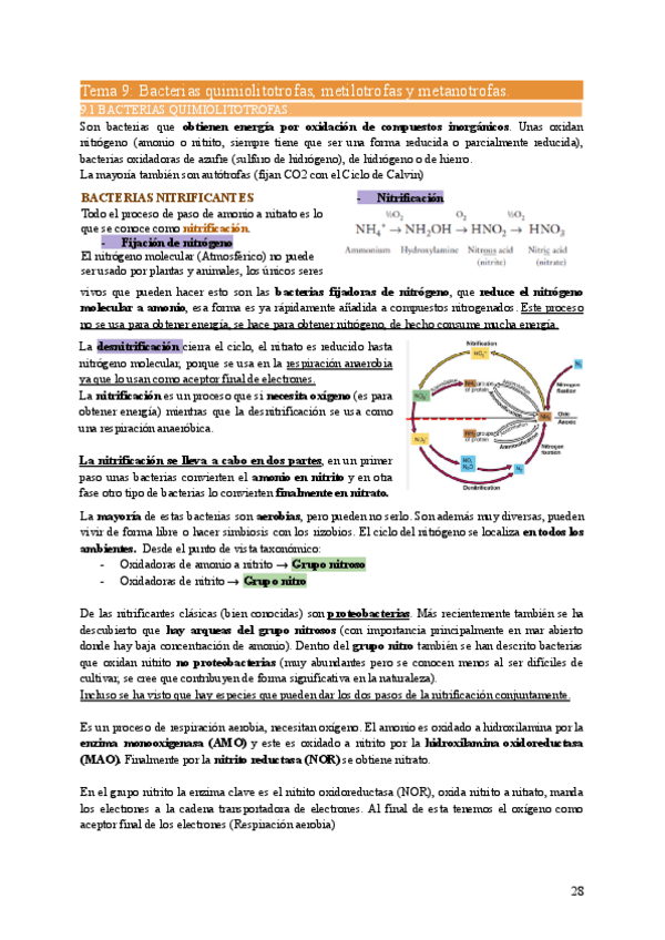 Miniatura del documento MIC2-Tema9.pdf
