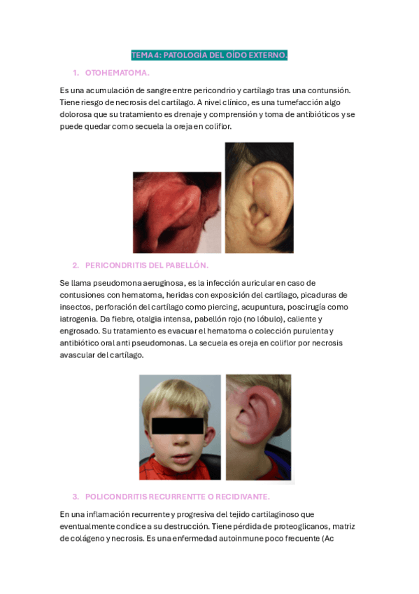 Miniatura del documento Tema-4-Patologia-de-la-voz.pdf