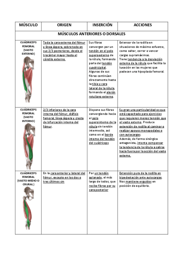 Miniatura del documento MÚSCULOS RODILLA.pdf