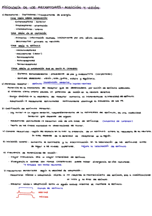 Miniatura del documento Tema4OidoyVista.pdf
