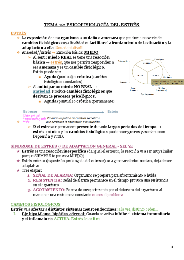 Miniatura del documento T12.pdf
