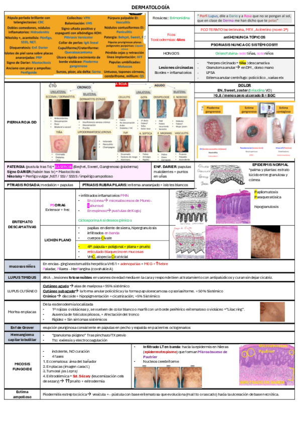 Miniatura del documento DERMATOLOGIA-Macroresumen.pdf