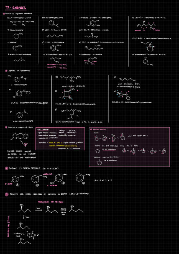 Miniatura del documento S1-Aminas-24-25QOII.pdf
