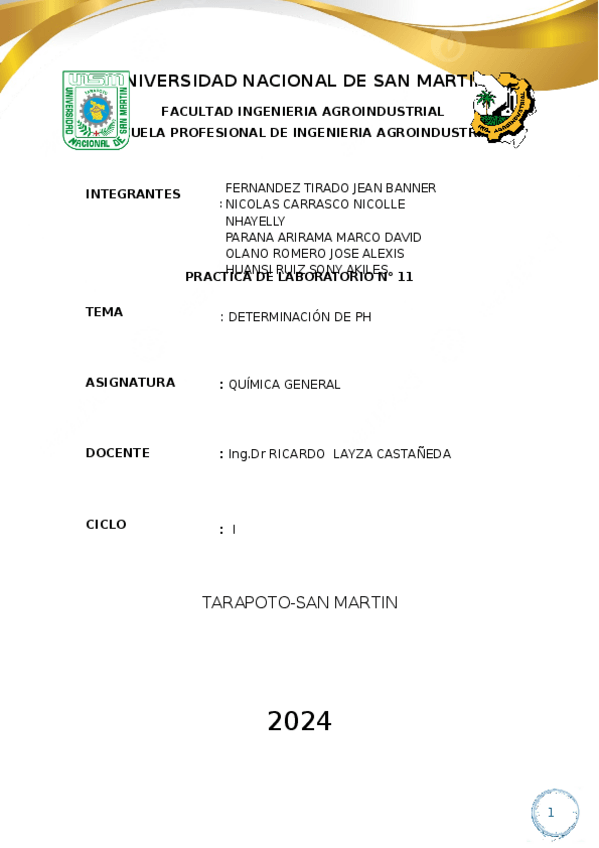 Miniatura del documento PRACTICA-DE-LABORATORIO-11.docx