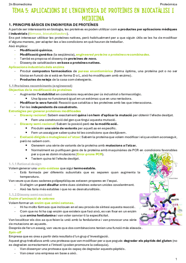Miniatura del documento T5-Aplicacions-de-lenginyeria-de-proteines-en-biocatalisi-i-medicina.pdf