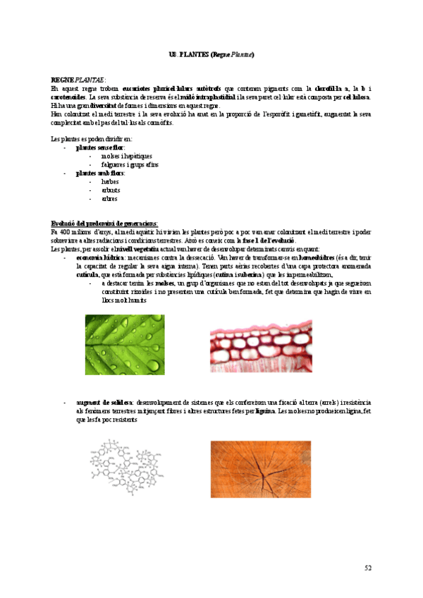 Miniatura del documento U8-botanica.pdf