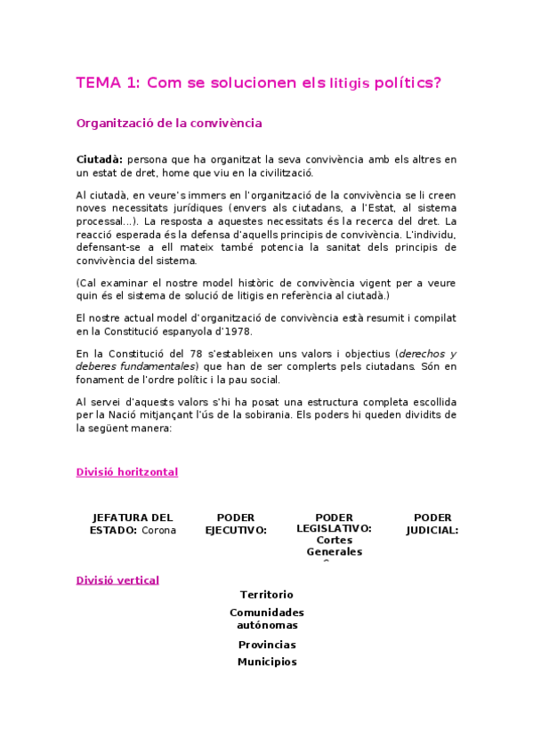 Miniatura del documento T1 PROCESSAL.odt