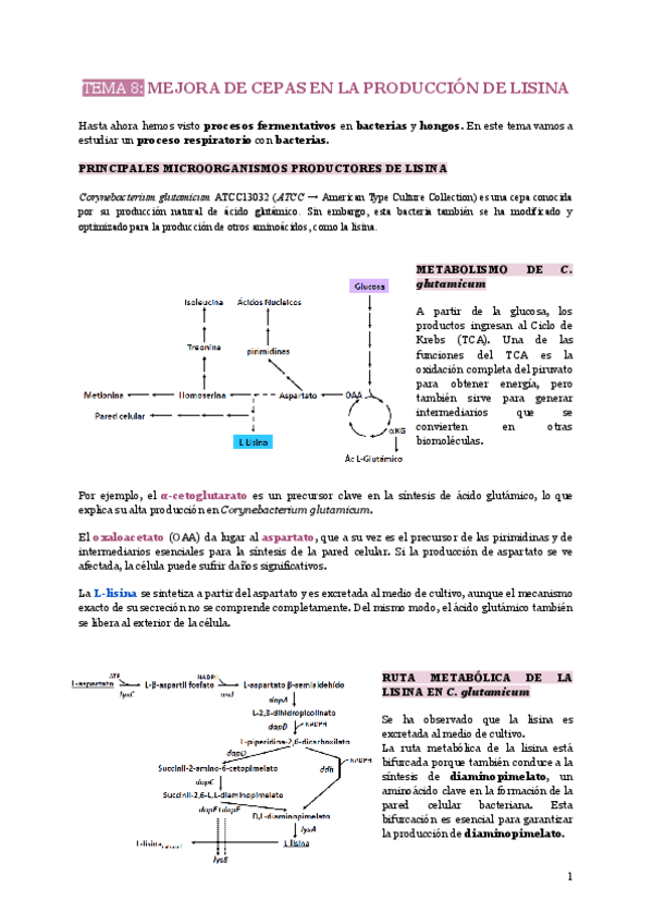 Miniatura del documento TEMA-8-MEJORA-DE-CEPAS-EN-LA-PRODUCCION-DE-LISINA.pdf