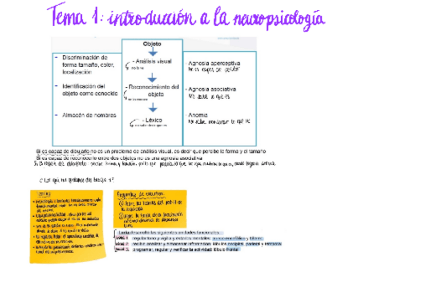 Miniatura del documento Esquemas-temario-neuro.pdf