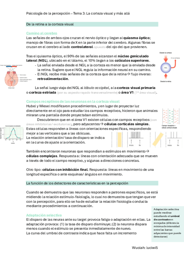 Miniatura del documento T.3-P.-Percepcion.pdf
