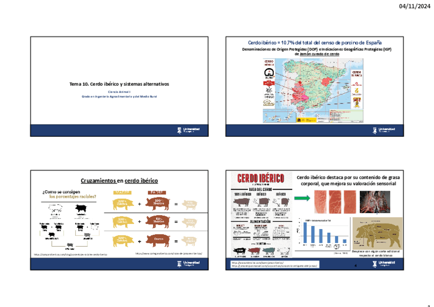 Miniatura del documento 10cerdo-iberico-y-alternativos.pdf