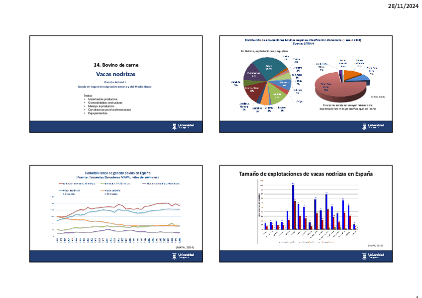 Miniatura del documento 141.vacuno-de-carne-nodrizas.pdf