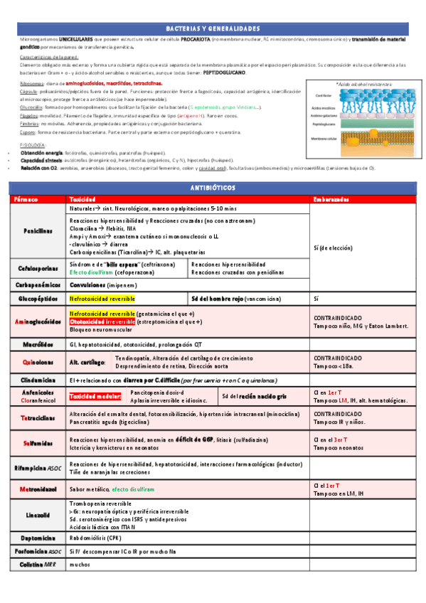 Miniatura del documento Temas-1-y-2.-Ampliacion-y-Resumen-RAM.pdf
