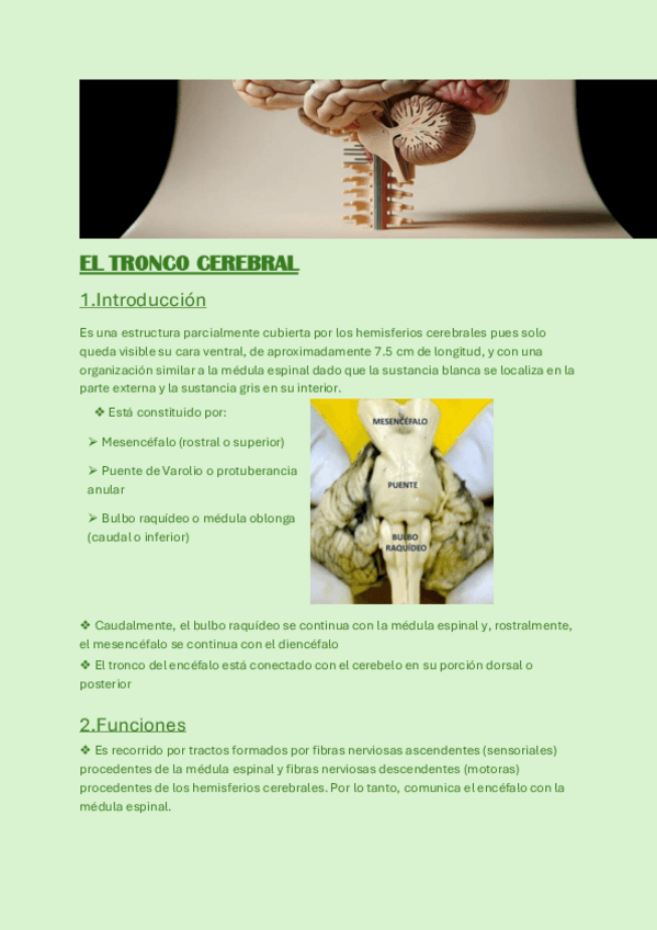 Miniatura del documento Psicobiologia-Bloque-tematico-1-T2.pdf