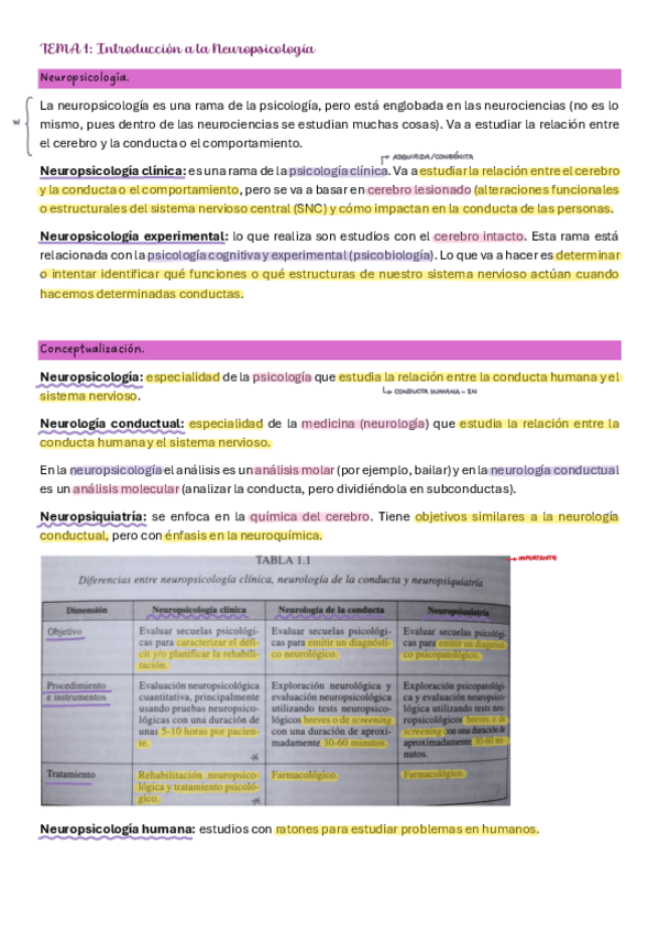 Miniatura del documento Tema-1-Neuro.pdf