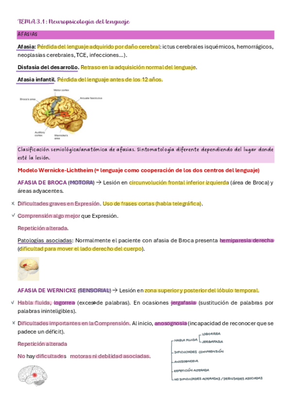 Miniatura del documento Tema-3.1-Neuro.pdf