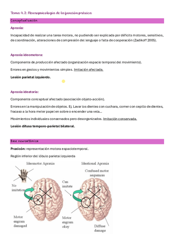 Miniatura del documento Tema-4.2-Neuro.pdf