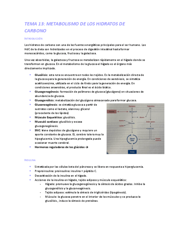 Miniatura del documento FISIOII13.pdf