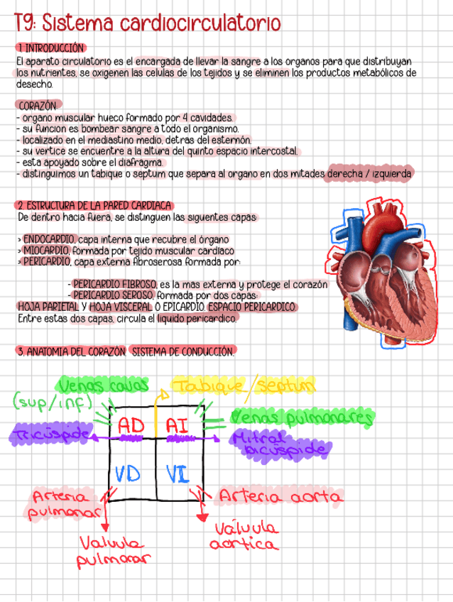 Miniatura del documento CARDIOCIRCULATORIO.pdf