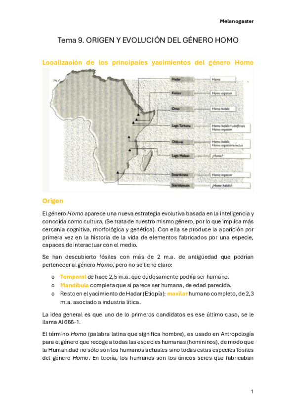 Miniatura del documento Tema-9.-ORIGEN-Y-EVOLUCION-DEL-GENERO-HOMO.pdf