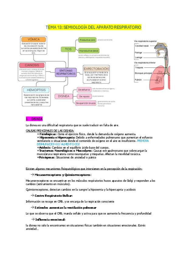 Miniatura del documento Introcuccion-tema-13 2024/2025.pdf