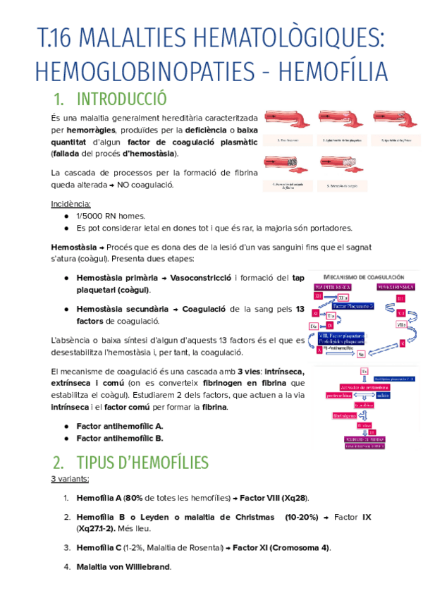 Miniatura del documento T.16-MALALTIES-HEMATOLOGIQUES-HEMOGLOBINOPATIES-HEMOFILIA.pdf