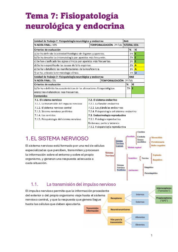 Miniatura del documento TEMA-7.-Fisiopatologia-neurologica-y-endocrina.pdf