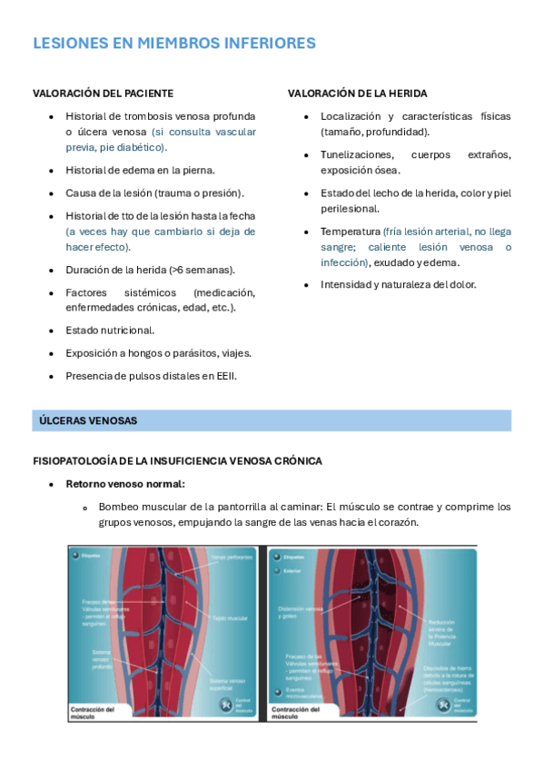 Miniatura del documento SEMINARIO-HERIDAS-II.pdf
