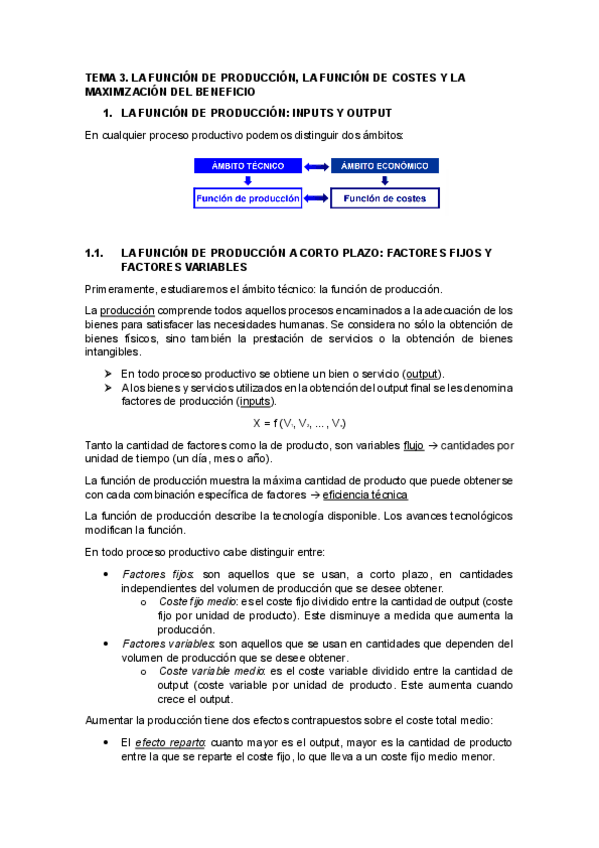 Miniatura del documento TEMA-3LA-FUNCION-DE-PRODUCCION.pdf