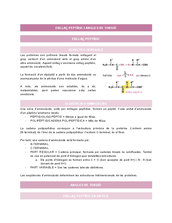 Miniatura del documento 2.-ENLLAC-PEPTIDIC-I-ANGLES-DE-TORSIO.pdf