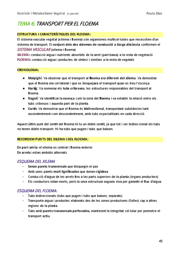 Miniatura del documento Nutricio-i-Metabolisme-Vegetal-1r-parcial-Tema-6-Floema.pdf