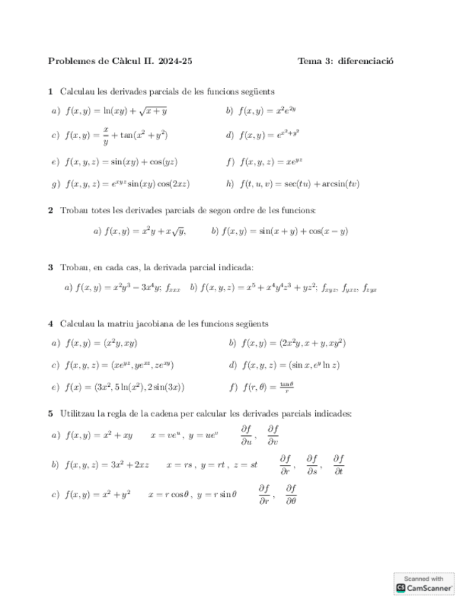 Miniatura del documento TEMA-3-PROBLEMES-DIFERENCIACIO-SOLUCIONS.pdf