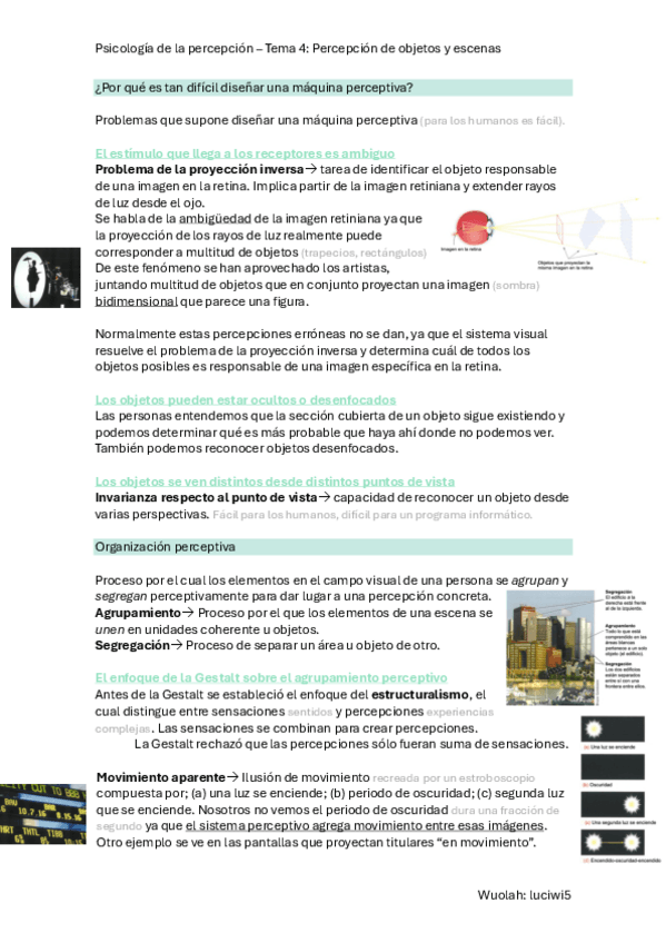 Miniatura del documento T.4-P.-Percepcion.pdf