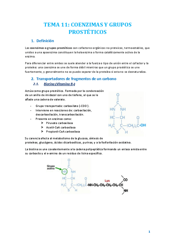 Miniatura del documento TEMA 11.pdf