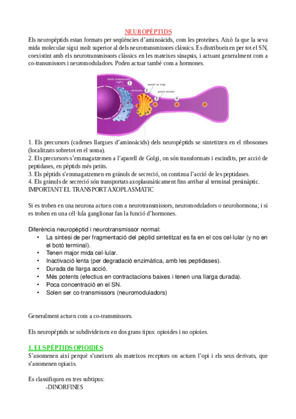 Miniatura del documento Neuropèptids.pdf