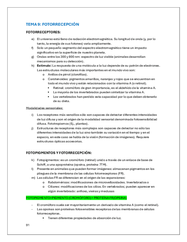 Miniatura del documento FACTEMA91011.pdf