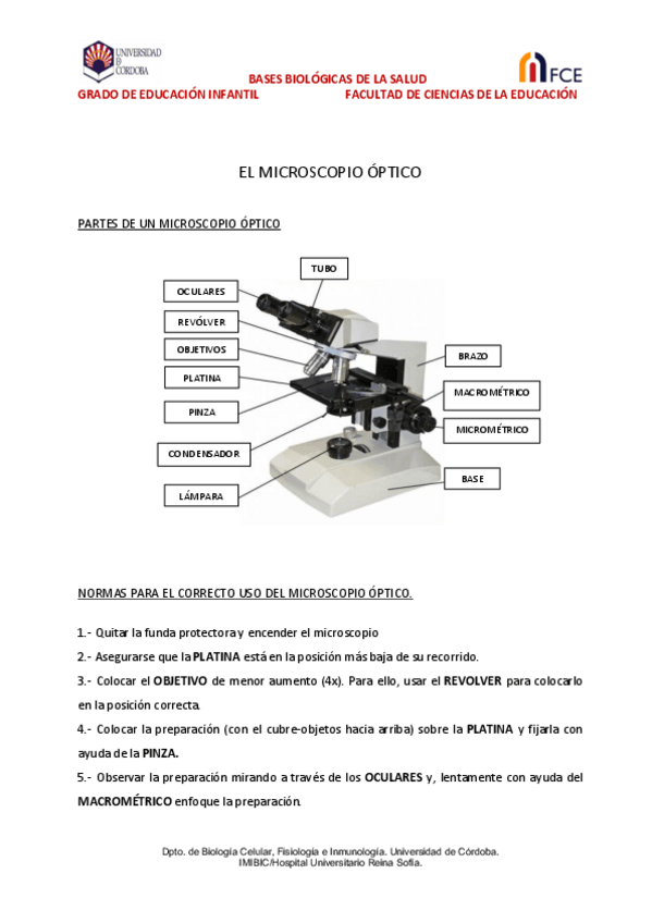 Miniatura del documento EL-MICROSCOPIO-OPTICO.pdf