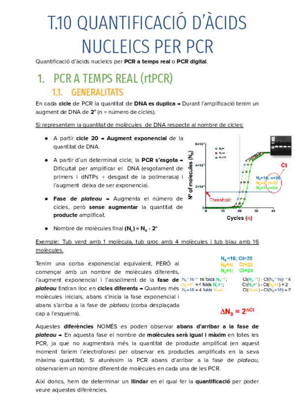 Miniatura del documento T.10-QUANTIFICACIO-DACIDS-NUCLEICS-PER-PCR.pdf