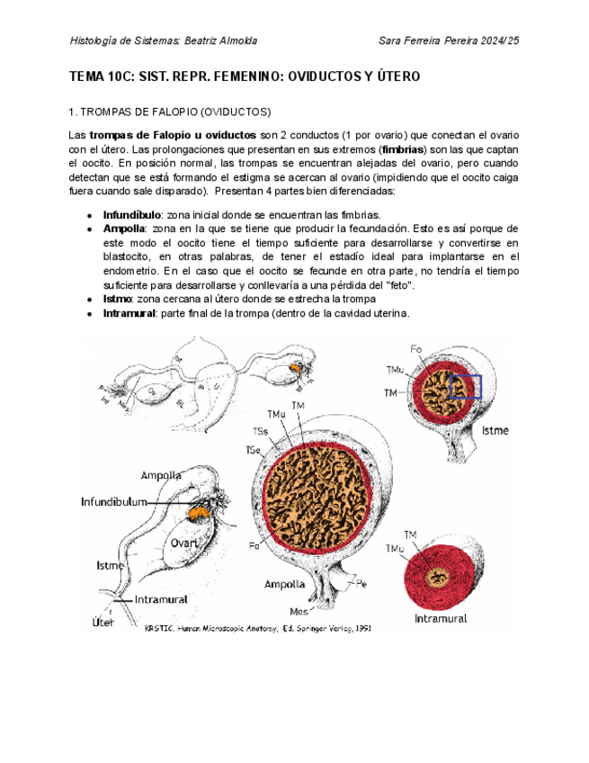 Miniatura del documento 10C.-Reproductor-Femenino-Oviductos-y-Utero.pdf