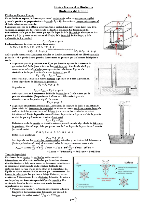 Miniatura del documento Bloque 2. Biofísica del Fluido.pdf