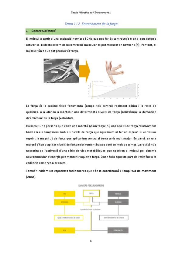 Miniatura del documento Tema-1-i-2.pdf