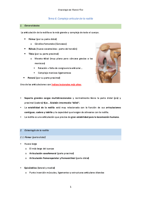 Miniatura del documento Tema-6.-Complejo-articular-de-la-rodilla.pdf