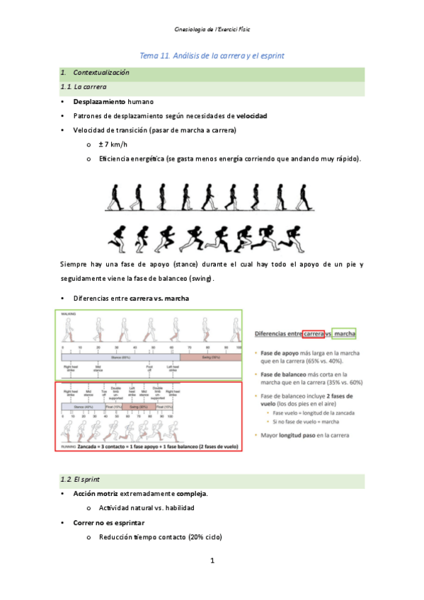 Miniatura del documento Tema-11.-Analisis-de-la-carrera-y-el-esprint.pdf