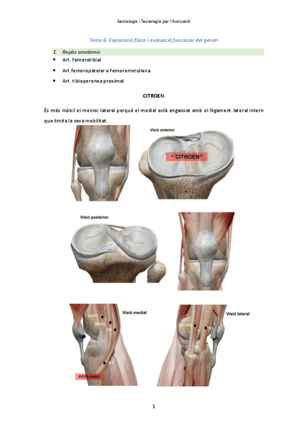 Miniatura del documento Tema-6.-Genoll.pdf