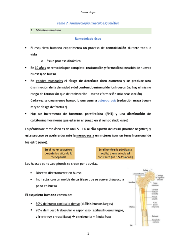 Miniatura del documento Tema-7.-Farmacologia-musculoesqueletica.pdf